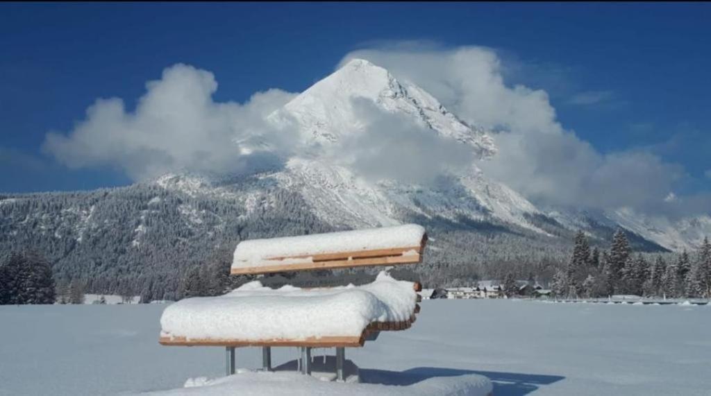 Alpenchalet Im Leutaschtal エクステリア 写真