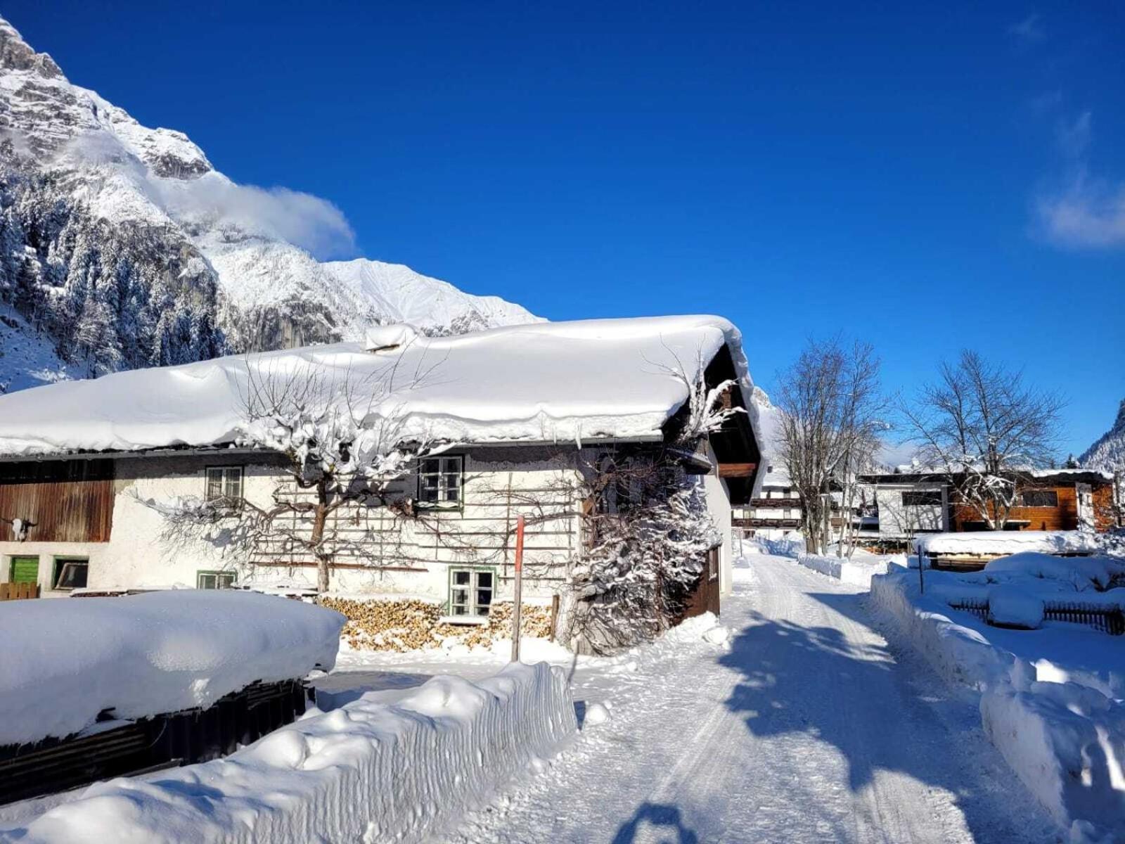 Alpenchalet Im Leutaschtal エクステリア 写真